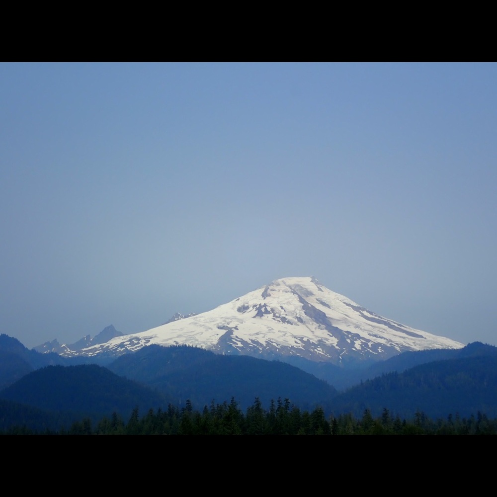 Meet your Posher, Dana